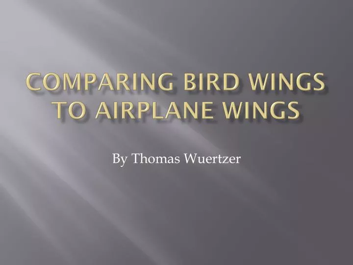 comparing bird wings to airplane wings