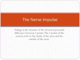 The Nerve Impulse
