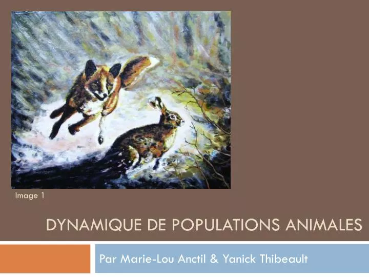 dynamique de populations animales