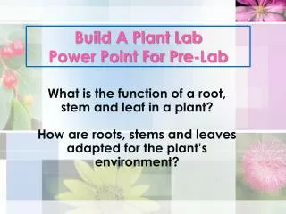 Build A Plant Lab Power Point For Pre-Lab