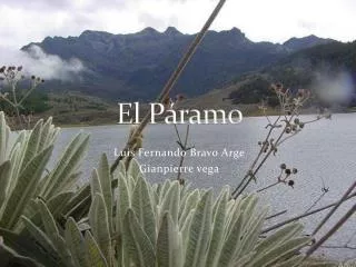 el p ramo