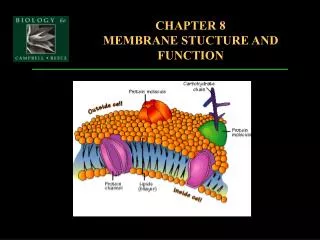 CHAPTER 8 MEMBRANE STUCTURE AND FUNCTION