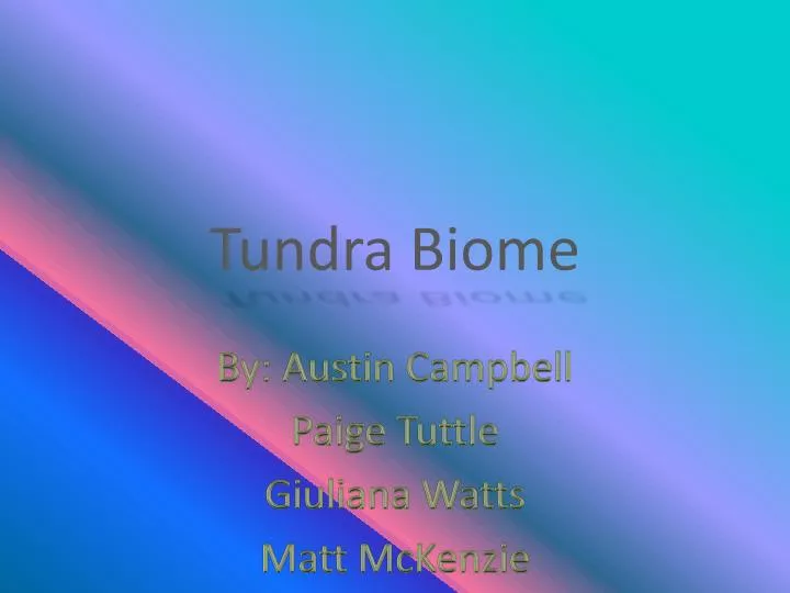 tundra biome