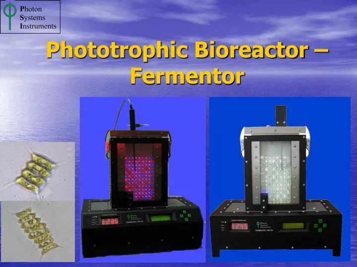 phototrophic bioreactor fermentor