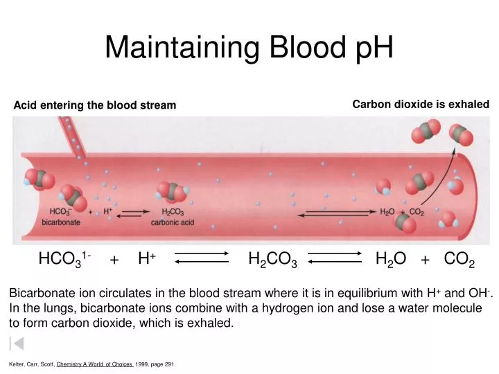 maintaining blood ph