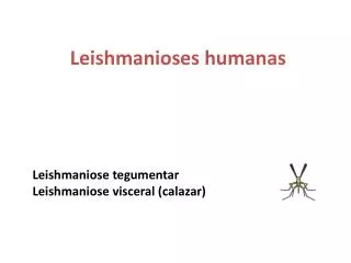 leishmanioses humanas