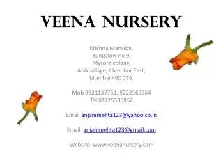 VEENA NURSERY