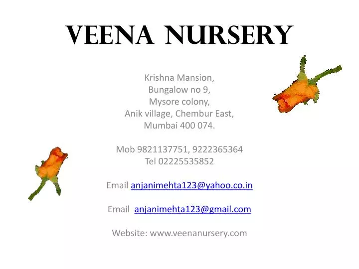 veena nursery