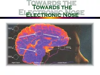 Towards the Electronic Nose