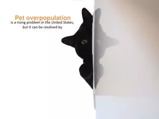 Pet overpopulation