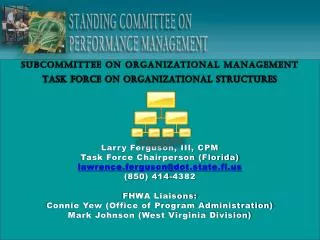 Subcommittee on Organizational Management Task force on organizational structures