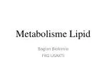 Metabolisme Lipid - slide 1