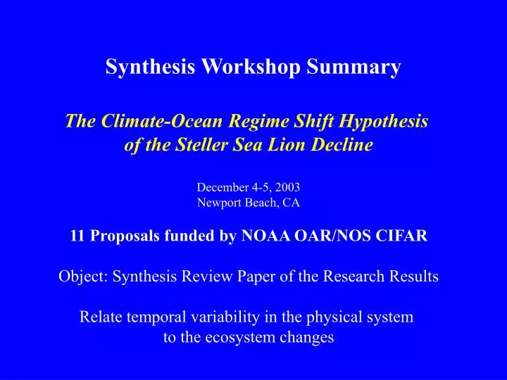 synthesis workshop summary