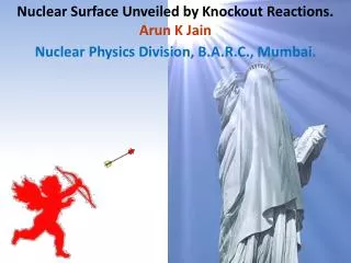 Nuclear Surface Unveiled by Knockout Reactions. Arun K Jain