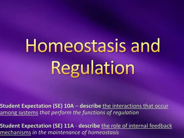 homeostasis and regulation