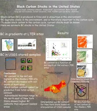 Black Carbon Stocks in the United States