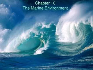 Chapter 10 The Marine Environment