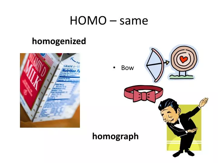 homo same