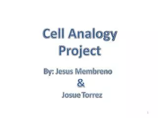 Cell Analogy Project