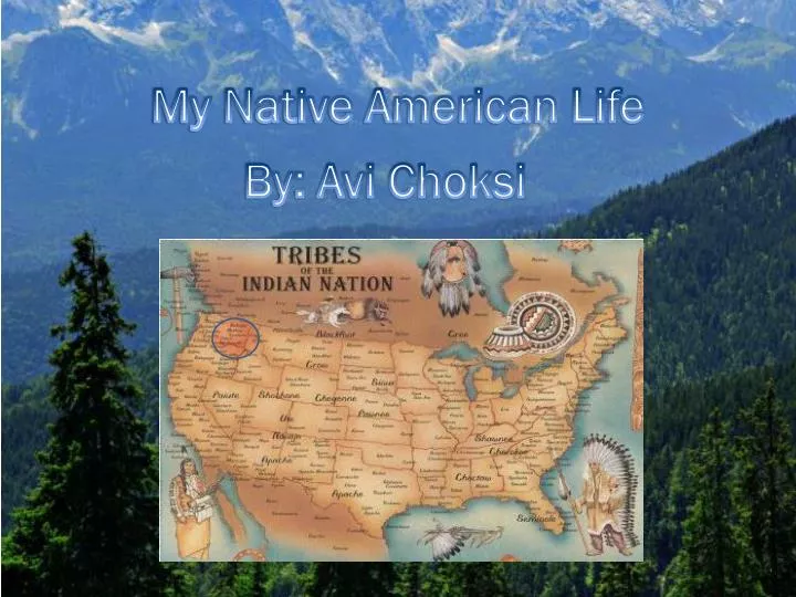 my native american life