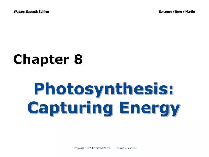 photosynthesis capturing energy