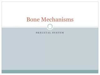 Bone Mechanisms