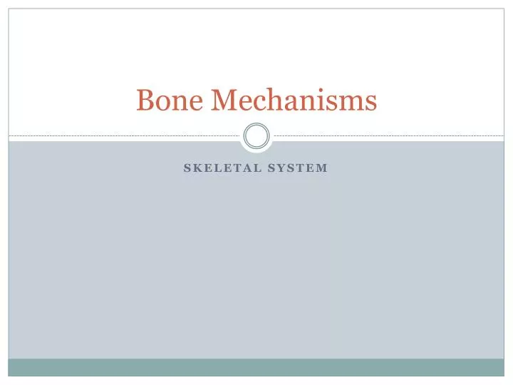 bone mechanisms