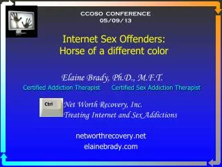 Elaine Brady, Ph.D., M.F.T. Certified Addiction Therapist Certified Sex Addiction Therapist