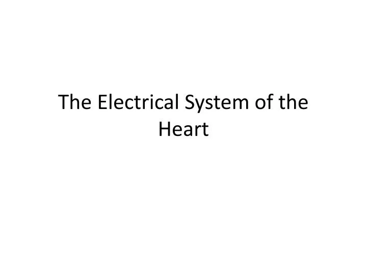 the electrical system of the heart