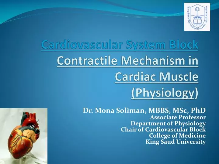 cardiovascular system block contractile mechanism in cardiac muscle physiology