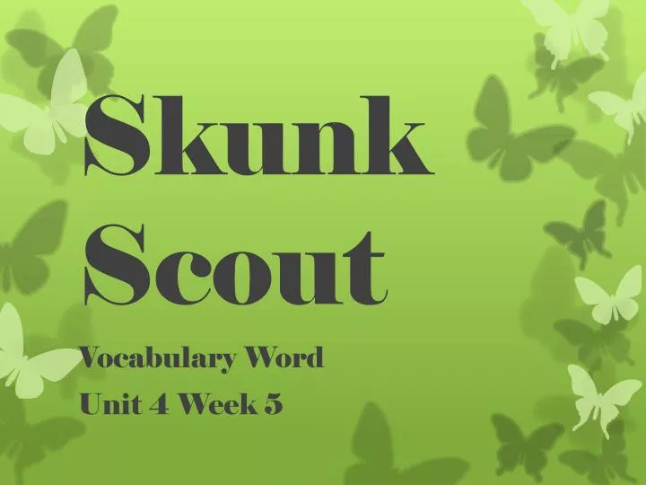 skunk scout