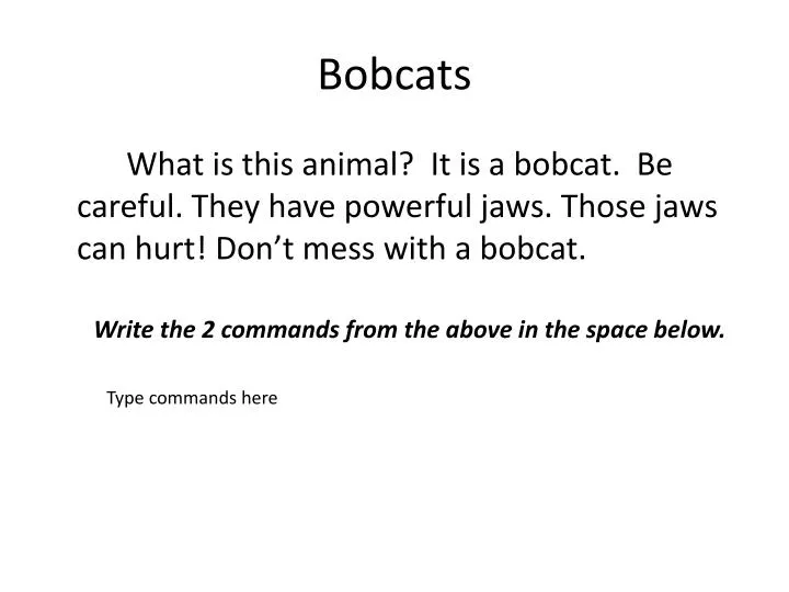 bobcats