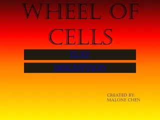 Wheel of cells