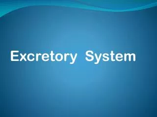 Excretory System