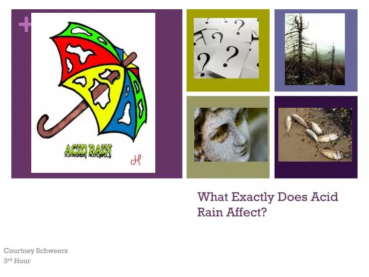 what exactly does acid rain affect