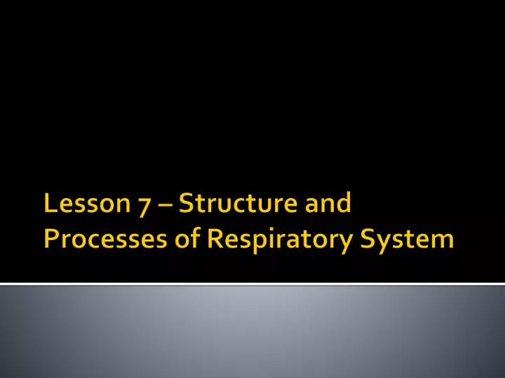 lesson 7 structure and processes of respiratory system