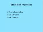 Breathing Processes - slide 1