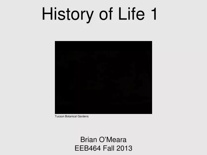 history of life 1