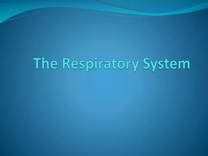 the respiratory system