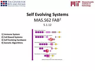 Self Evolving Systems MAS.S62 FAB 2 5.1.12