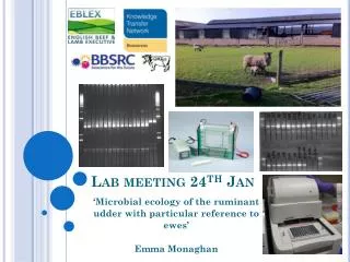Lab meeting 24 th Jan
