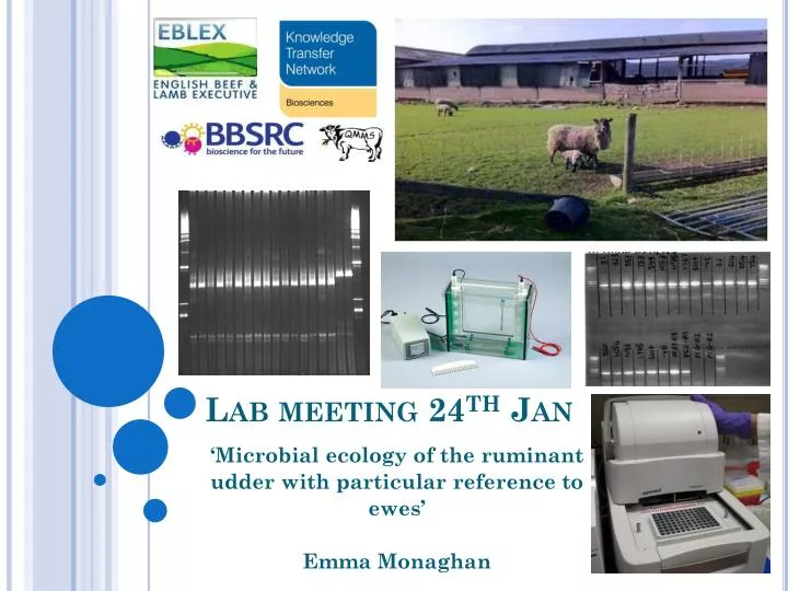 lab meeting 24 th jan