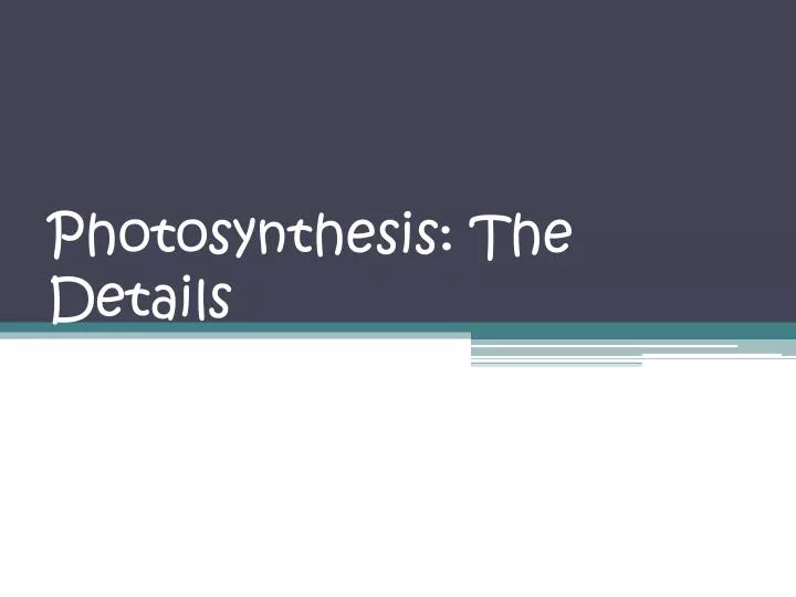 photosynthesis the details