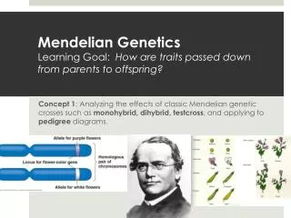 Mendelian Genetics Learning Goal: How are traits passed down from parents to offspring?