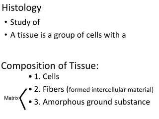 histology