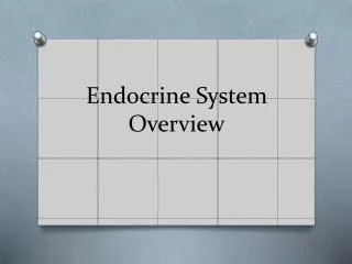 Endocrine System Overview