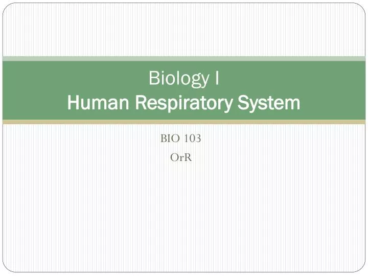 biology i human respiratory system
