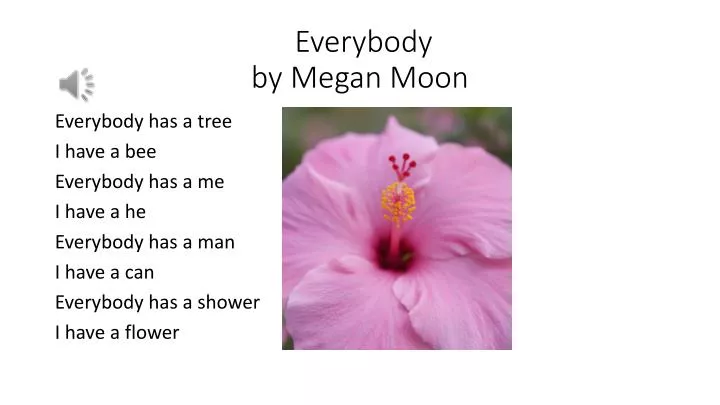 everybody by megan moon