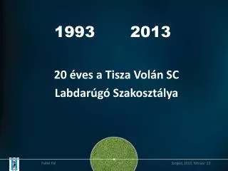 1993 2013
