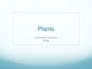 plants